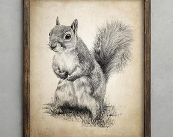 Squirrel Pencil Drawing, Animal Decor, Grey Squirrel Wall Art, Cute Wildlife Sketch
