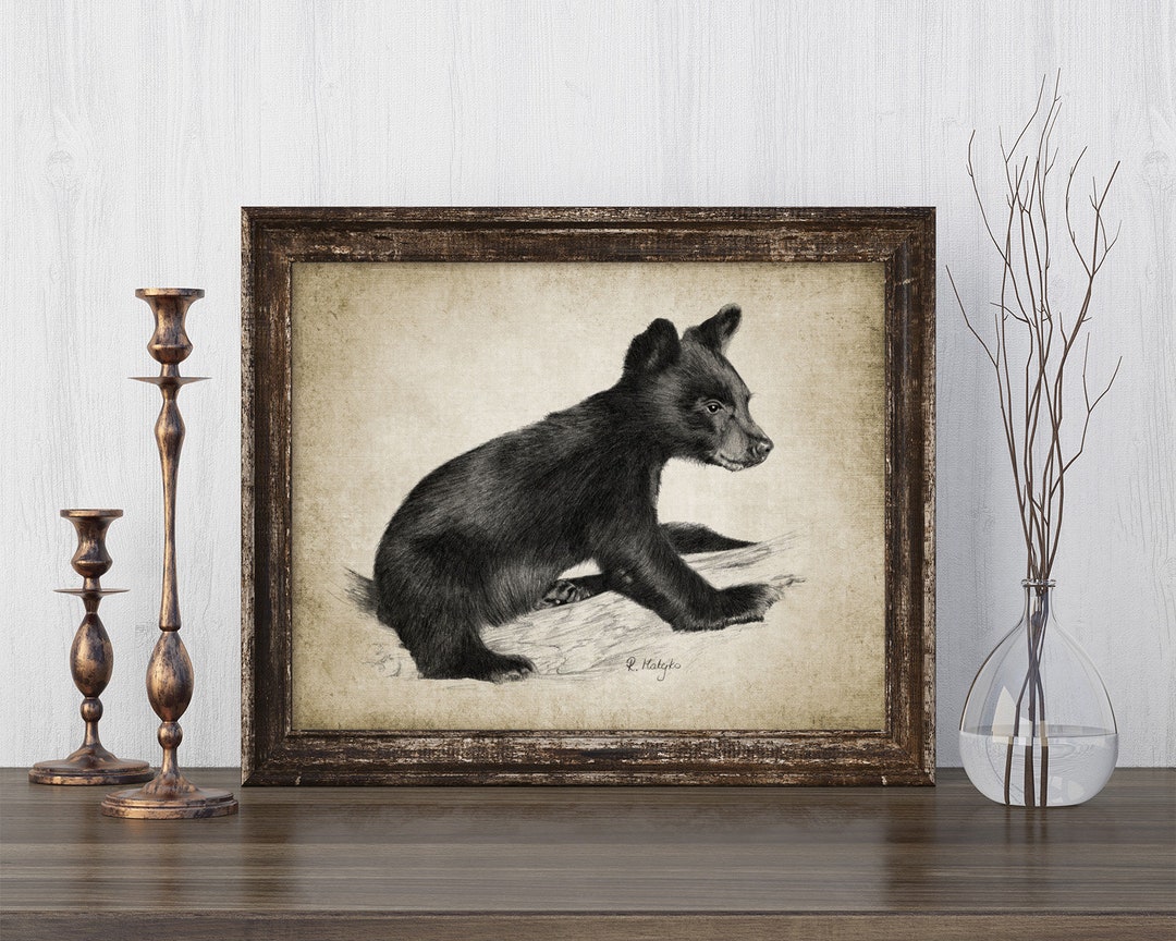 Black Bear Cub Print - Black Bear Illustration - Black Bear Decor - Digital Art - Printable Art ...