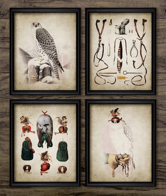 Falconry Wall Art Set of 4 Falcon Print Falconry Sport - Etsy UK