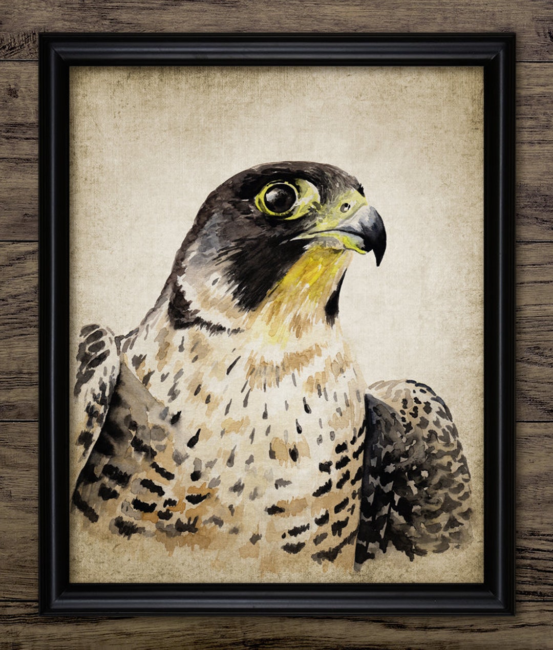 ハヤブサの水彩画、印刷可能なハヤブサの絵画、アヒルタカの壁アート