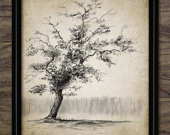 Tree Charcoal Drawing, Printable Tree, Tree Wall Art, Tree Print, Tree Sketch, Botanical Wall Art, Rustic Decor #3966 INSTANT DOWNLOAD