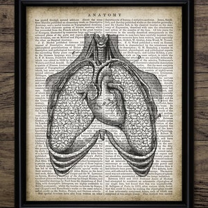 Human Anatomy Wall Art Set of 4, Printable Human Anatomy, Medical ...