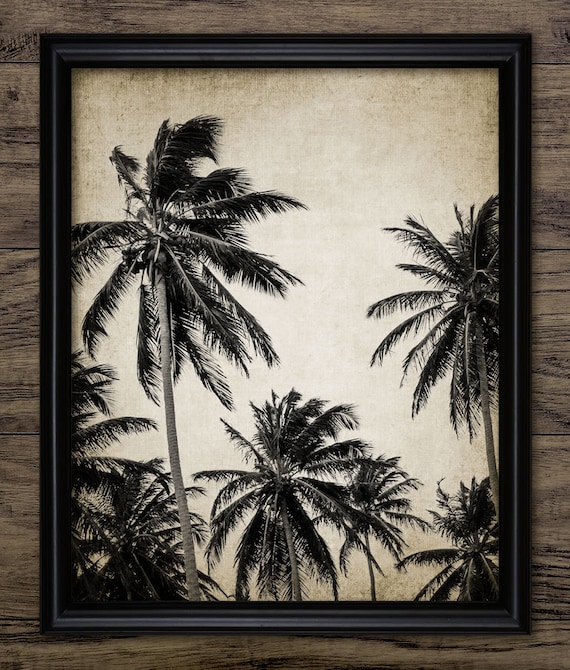 Vintage Palm Tree Print Palm Trees Palm Tree Botanical Etsy Australia