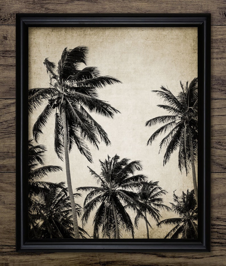 May include: A black and white vintage style photograph of palm trees against a light brown background. The image is framed in a black frame.