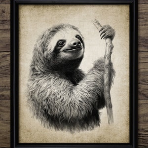 Sloth Wall Art, Printable Tree Sloth, Cute Sloth Wall Art, Sloth, Arboreal Sloth, South American Sloth #4234 INSTANT DOWNLOAD