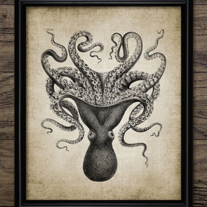 Octopus Wall Art, Printable Octopus Pen and Ink Drawing, Marine Biology, Octopus, Mollusc, Cephalopod Sea Life #31 INSTANT DOWNLOAD