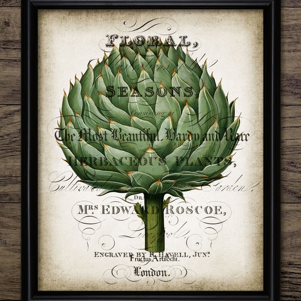 Vintage Artichoke Print - Artichoke Illustration - Artichoke Decor - Botanical - Kitchen Decor - Single Print #1074 - INSTANT DOWNLOAD