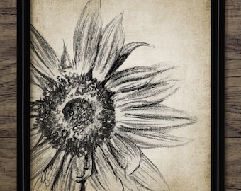 Sunflower Charcoal Drawing, Printable Sunflower, Sunflower Wall Art, Sunflowers Print, Botanical Wall Art #3932 INSTANT DOWNLOAD