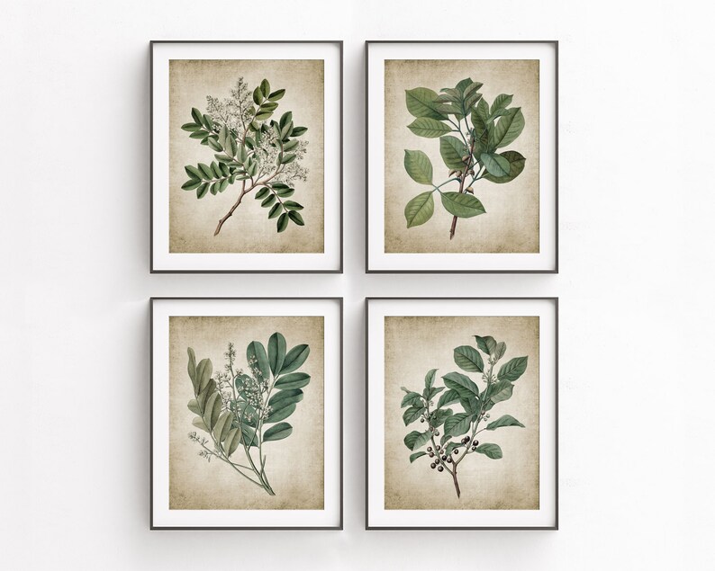 Green Plant Print Set of 4 Vintage Leaves Botanical Art | Etsy
