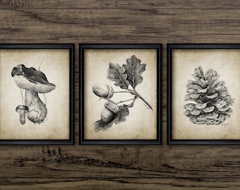 Fall Forest Botanical Wall Art Set of 3, Printable Fall Woodland, Autumn, Fall Forest Mushroom, Fern Botanical Art #3962 INSTANT DOWNLOAD