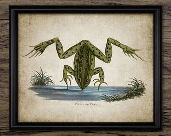 Frog Wall Art, Printable Frog, Amphibian, Green Frog Art, Jumping Frog, Endangered Species, Wildlife Conservation #130 INSTANT DOWNLOAD