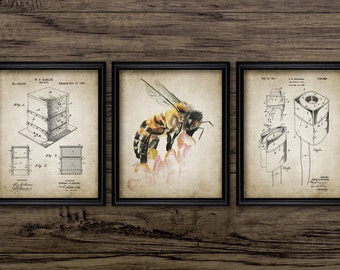 Beekeeping Wall Art Set Of 3, Honey Bee Queen Bee Worker Drone Beehive, Apiarist Gift, Bee Yard, Apiary, Vintage Bees #3753 INSTANT DOWNLOAD