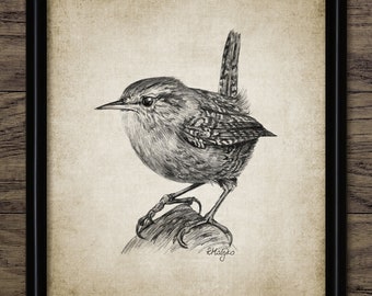 Wren Pencil Drawing, Printable Wren Drawing, Instant Bird Print, Garden Bird, Wren Bird Wall Art, Ornithology #4074 INSTANT DOWNLOAD