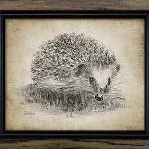 Hedgehog Pencil Drawing, Printable Hedgehog Wall Art, Hedgehog Art, Baby Room Decor, Nursery Wall Art - Single Print #3394 INSTANT DOWNLOAD