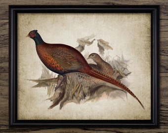 Pheasant Wall Art, Vintage Digital Print, Printable Game Bird Wall Art, Rustic Instant Bird Print #3829 INSTANT DOWNLOAD