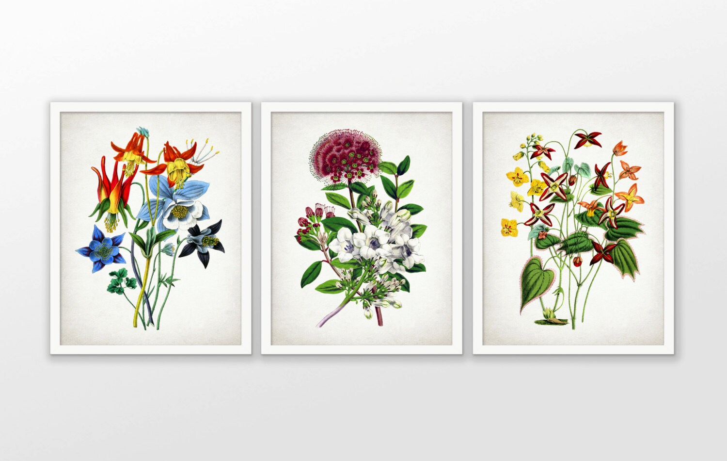 Flower Art Print Set of 3 Antique Botanical Art Colorful Etsy