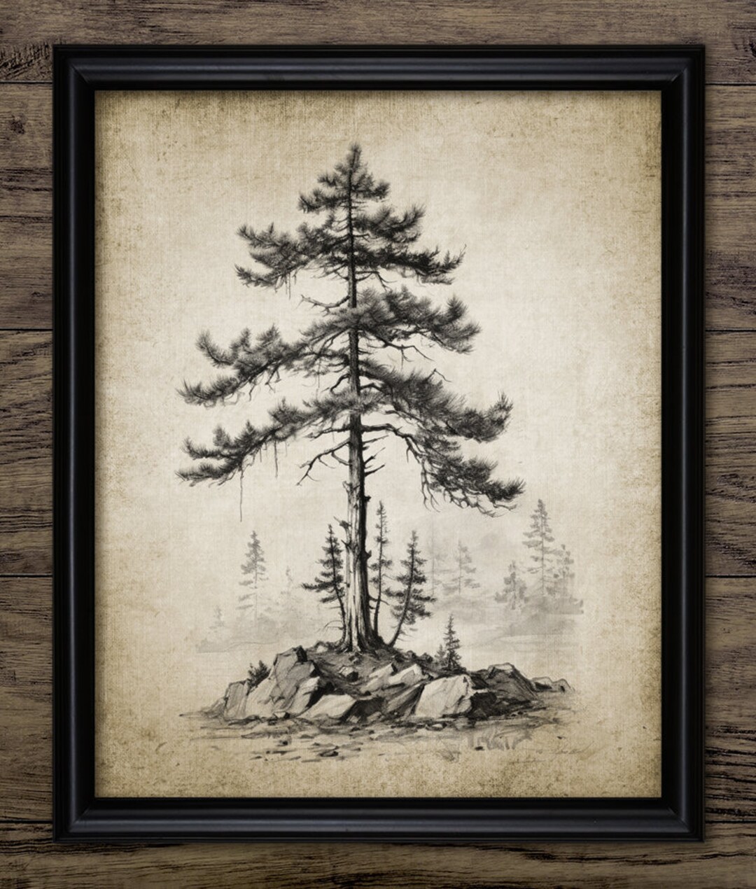 Vintage Tree Drawing Wall Art, Printable Tree, Spruce Tree Sketch, Forest, Woodland, Vintage