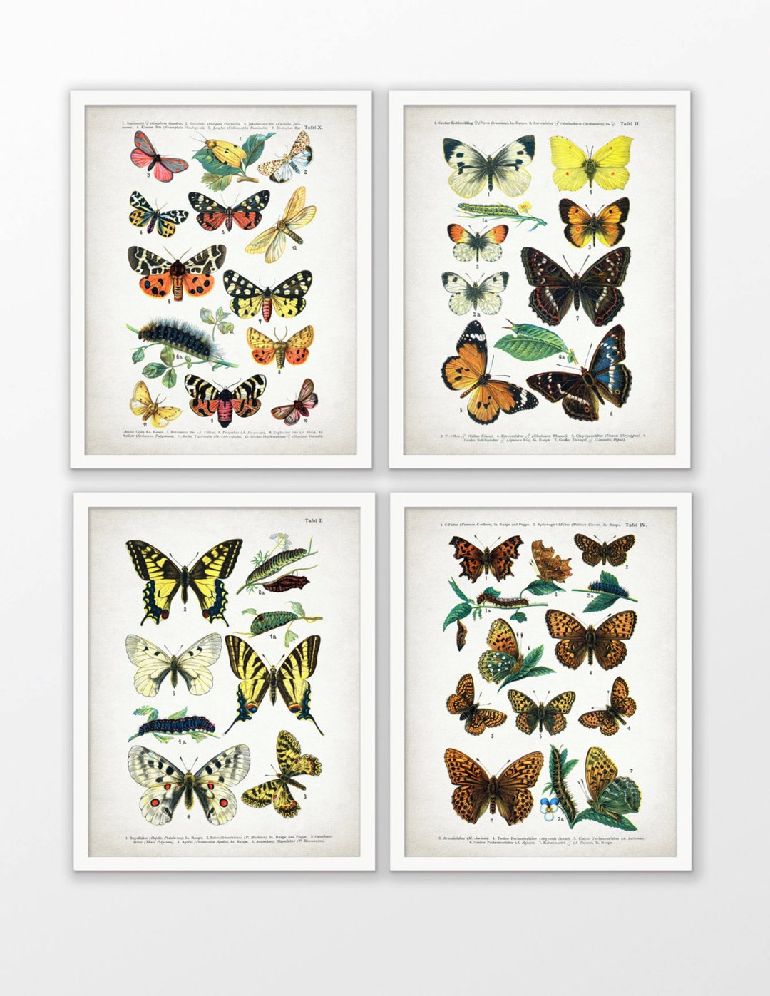 Vintage Butterfly Wall Art Set of 4, Printable Butterflies, Insect Art ...