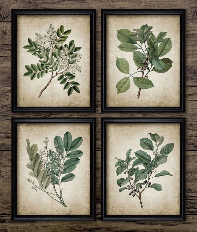 Green Plant Print Set of 4, Printable Vintage Leaves, Botanical Art, Green Living Room Decor, Vintage Printable Leaves #676 INSTANT DOWNLOAD 