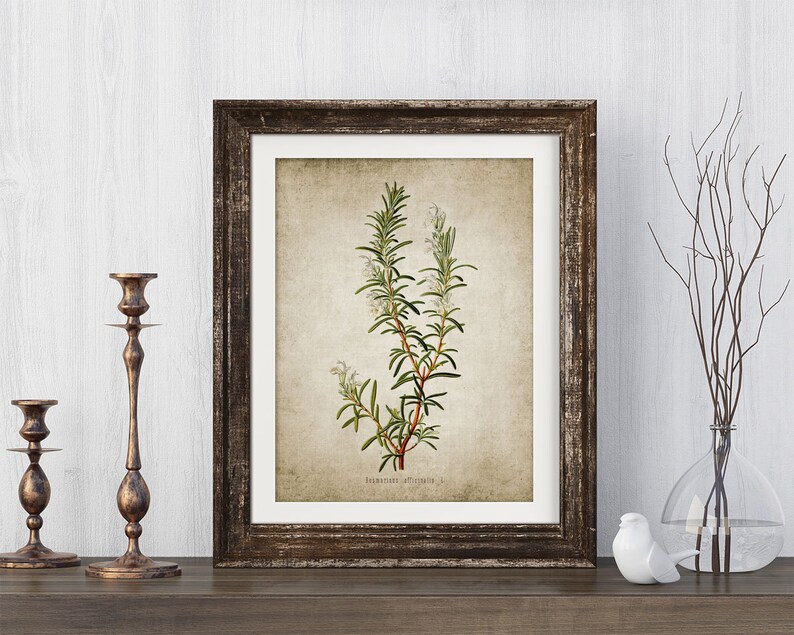 May include: A framed botanical illustration of rosemary with white flowers and green leaves on a textured beige background. The frame is dark brown wood with a distressed finish.