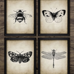 Vintage Insect Wall Art Set of 4, Printable Insects, Bumble Bee, Butterfly, Dragonfly, Moth, Entomology, Nature #171 INSTANT DOWNLOAD