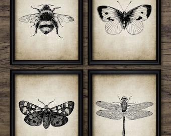 Insect Art Print Set of 3 Dragonfly Butterfly Bumble Bee | Etsy