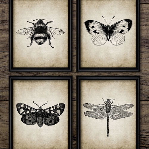 Insect Art Print Set of 3 Dragonfly Butterfly Bumble Bee - Etsy