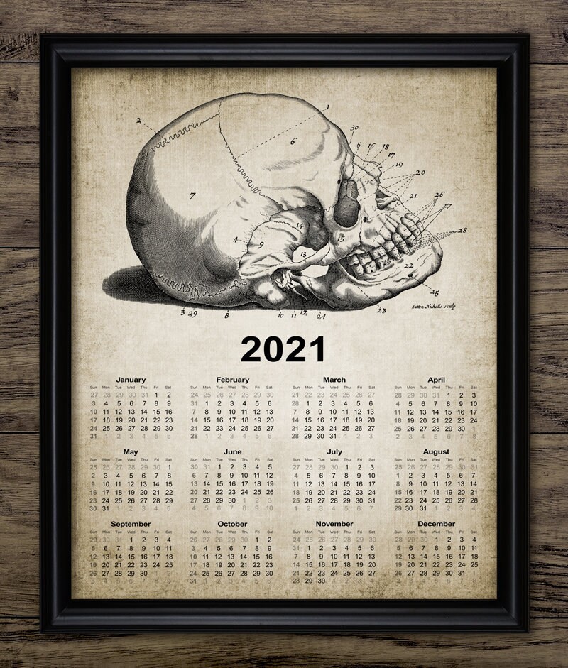 Skull Calendar 2021 Anatomy Print Printable Human Anatomy | Etsy