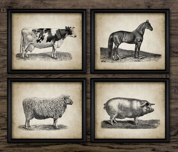 Vintage Farm Animals Print Set of 4 Farming Illustration - Etsy Vintage Farm Animals Print Set of 4 Farming Illustration - Etsy