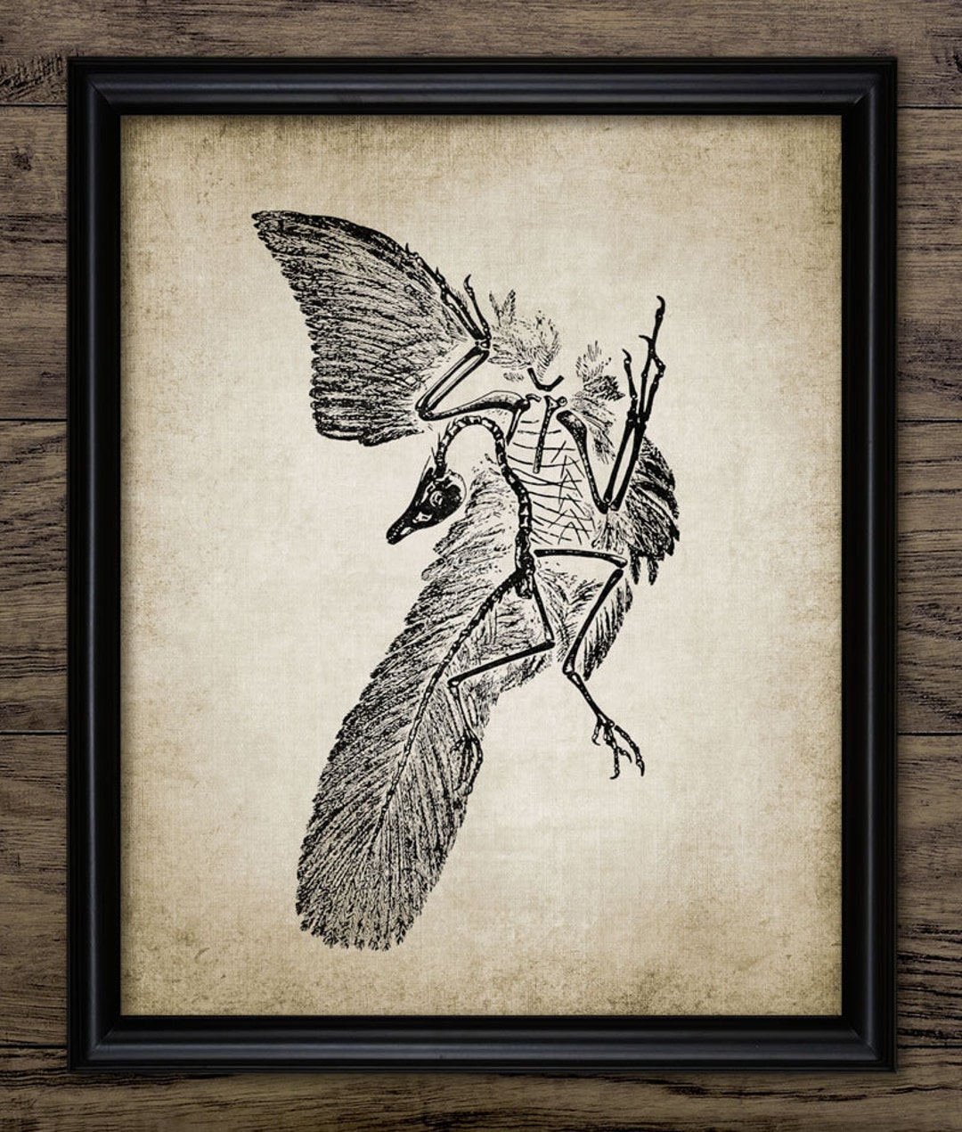 始祖鳥の壁アート、印刷可能な始祖鳥、最初の鳥、鳥のような恐竜、羽毛