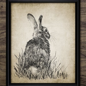 Kaninchen Zeichnung, Häschen Zeichnung, druckbare Illustration, Kaninchen Druck, süße Kaninchen Kinderzimmer Illustration #3933 SOFORT DOWNLOAD