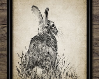 Rabbit Drawing, Printable Bunny Drawing, Rabbit Wall Art, Rabbit Print, Cute Rabbit Nursery Wall Art, Jackrabbit #3933 INSTANT DOWNLOAD