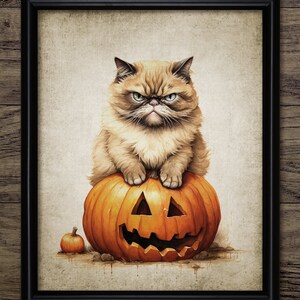 Puede incluir: Un gato de aspecto gruñón se sienta encima de una calabaza tallada con una sonrisa de dientes. La calabaza es naranja y tiene un pequeño tallo. El gato es marrón claro y tiene un pecho blanco. El fondo es de color marrón descolorido.