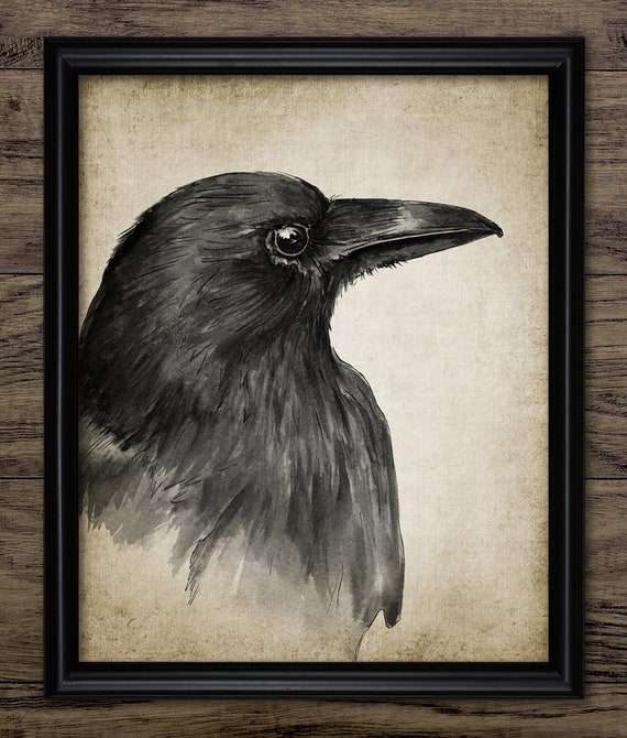 A lovely drawing of a Raven bird by Renata Matejko upon a wonderful vintage effect background. A perfect gift for a bird watcher.