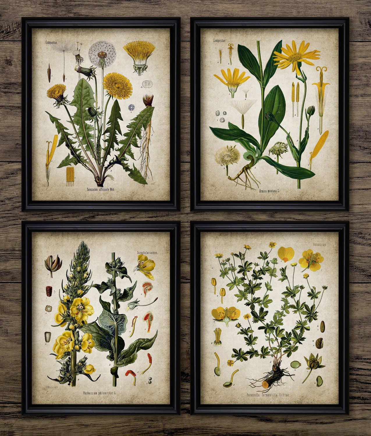 Yellow Flower Wall Art Set of 4 Printable Flower Art Yellow | Etsy