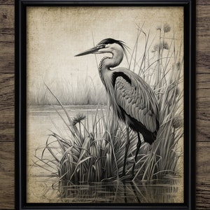 Heron Wall Art, Printable Heron, Heron In Reeds, Heron Bird Art, Heron Fishing, Hunting, Freshwater, Bird Watcher #4317 INSTANT DOWNLOAD