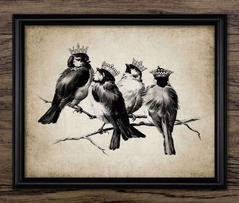 Rustic Home Decor Antique Bird Illustration Art Single Print #397 -INSTANT DOWNLOAD Vintage Birds in Crowns Print Antique Chic Birds