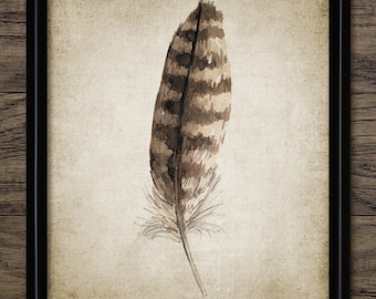 Veren aquarel, afdrukbare veren aquarel schilderij, bruine veer, vogel veren kunst, veren print #3115 INSTANT DOWNLOAD