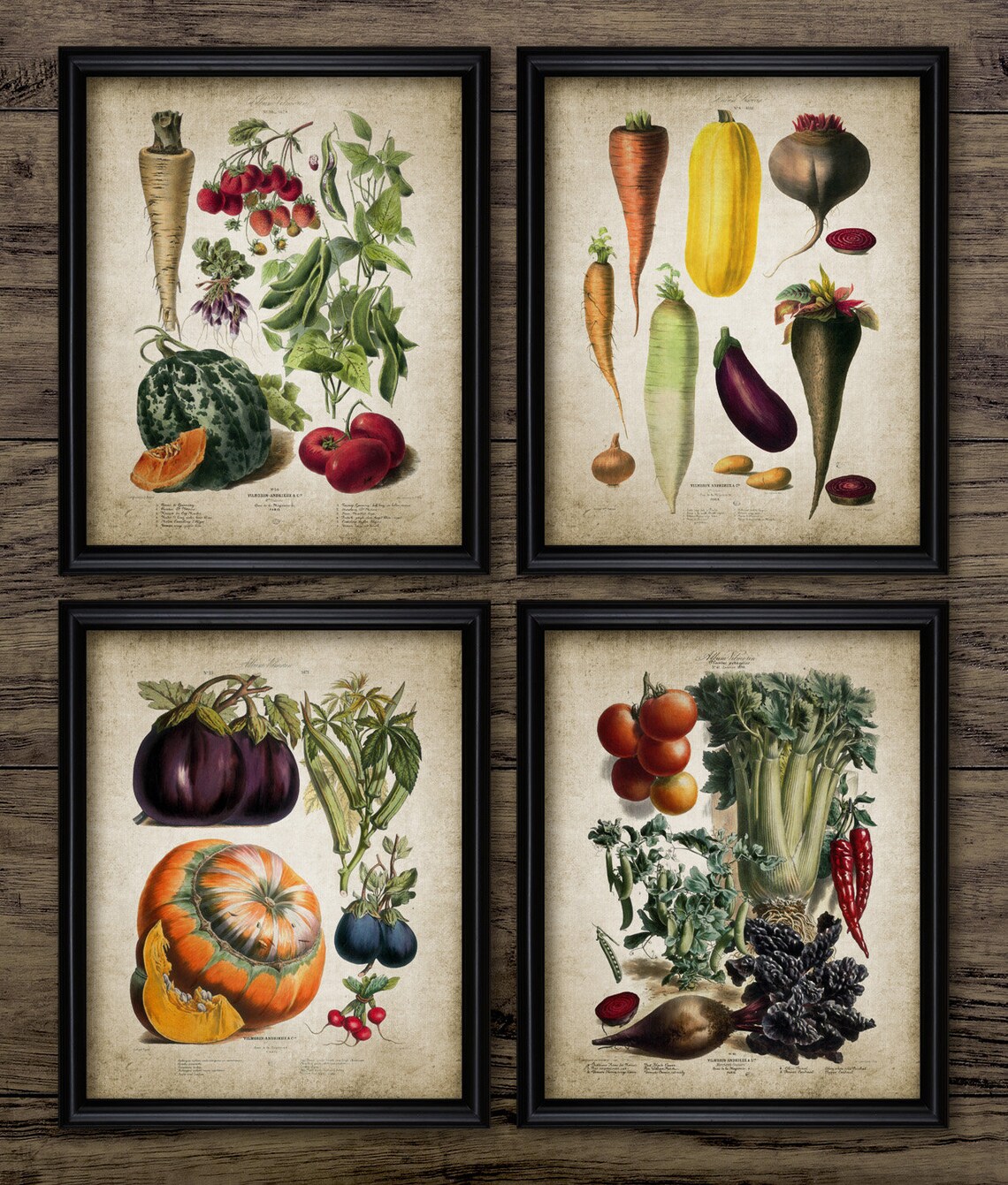 Vegetables Wall Art Set of 4 Kitchen Vegetable Cooking Etsy