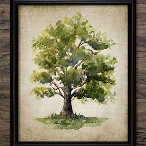 Oak Tree Watercolor Painting, Printable Oak Tree Art, Woodland, Forest, Trees, Oak Tree Wall Art, Botanical Art #4060 INSTANT DOWNLOAD