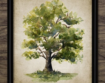 Oak Tree Watercolor Painting, Printable Oak Tree Art, Woodland, Forest, Trees, Oak Tree Wall Art, Botanical Art #4060 INSTANT DOWNLOAD
