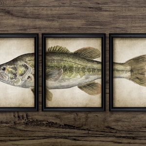 Bucket Mouth Wall Art Print on Wood Fishing Home Decor Watercolor Bass Wall  Hanging Poster 