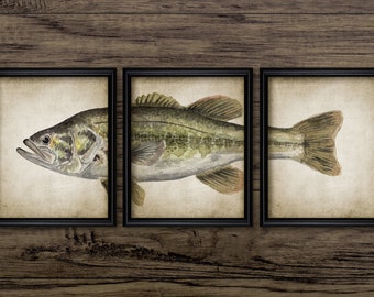 Largemouth Bass Watercolour Painting Set Of 3, Printable Fish Painting, Angling, Fisherman Gift, Bass Fishing Gift #3704 INSTANT DOWNLOAD