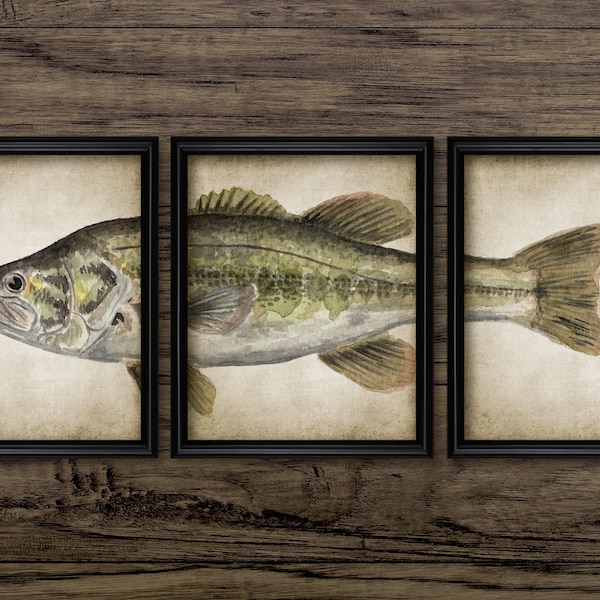 Largemouth Bass Watercolour Painting Set Of 3, Printable Fish Painting, Angling, Fisherman Gift, Bass Fishing Gift #3704 INSTANT DOWNLOAD