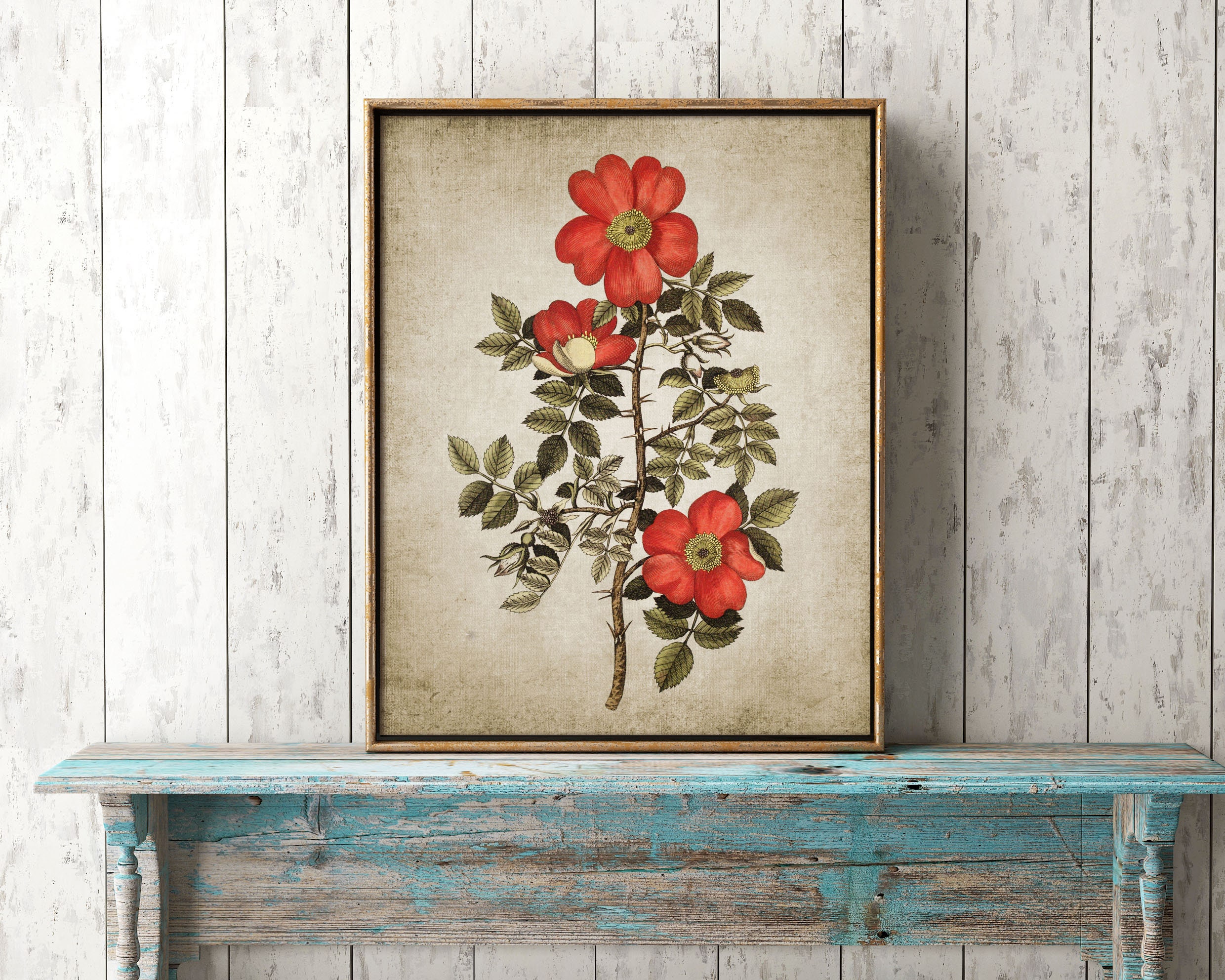 Wild Rose Wall Art Print Rustic House Decor Vintage Red Rose Etsy
