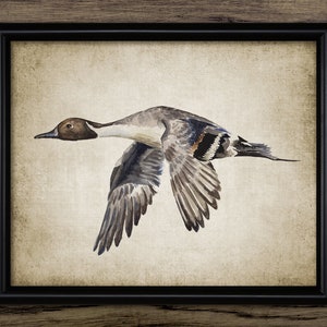 Duck Watercolor Painting, Printable Duck Painting, Duck Wall Art, Duck Bird Decor, Game Bird Art, Duck Hunting Decor #3465 INSTANT DOWNLOAD