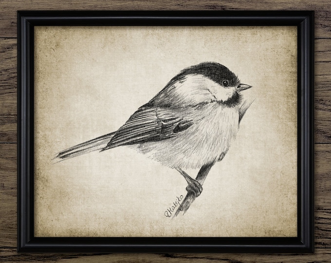 Chickadee - Etsy