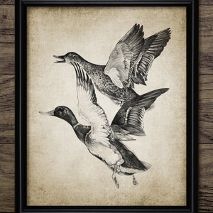 Duck Drawing, Printable Duck Drawing, Duck Wall Art, Duck Bird Decor, Game Bird Art, Duck Hunting Decor #3442 INSTANT DOWNLOAD