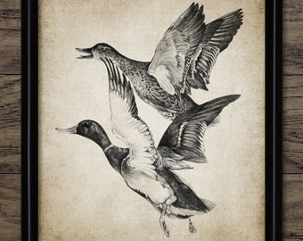 Duck Drawing, Printable Duck Drawing, Duck Wall Art, Duck Bird Decor, Game Bird Art, Duck Hunting Decor #3442 INSTANT DOWNLOAD