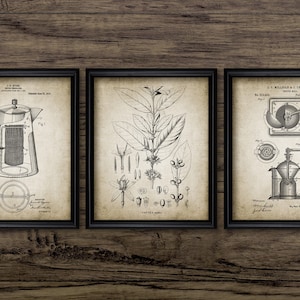 May include: Three vintage black and white illustrations of coffee making equipment. The first image shows a coffee pot with a filter, the second image shows a coffee plant, and the third image shows a coffee grinder.